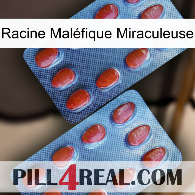 Racine Maléfique Miraculeuse 05
